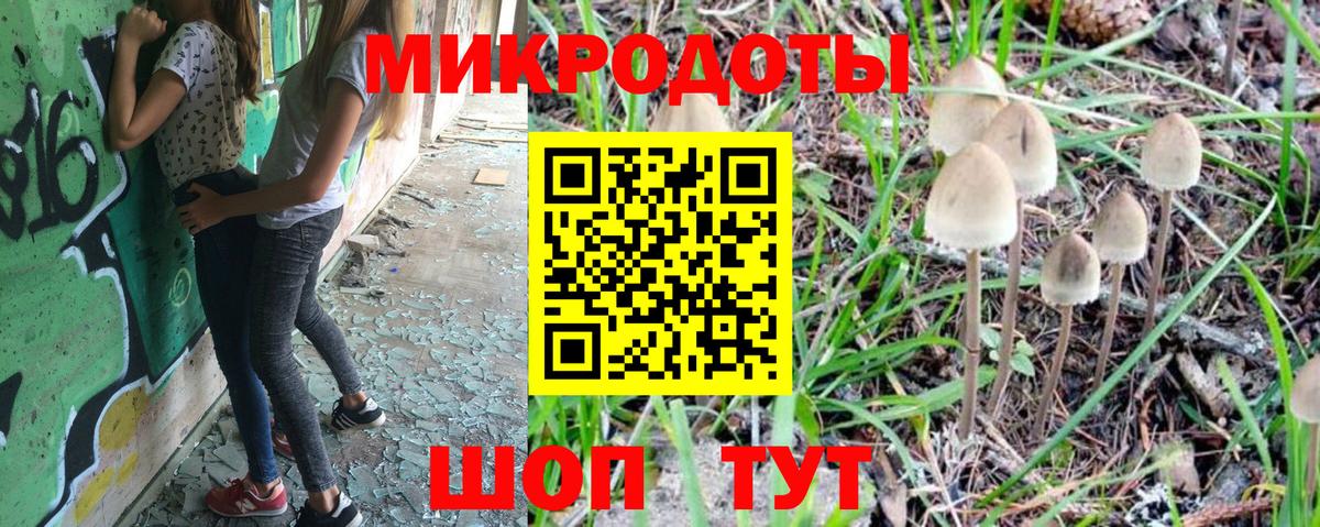 Галлюциногенные грибы MAGIC MUSHROOMS  Вход с VPN  Ефремов 