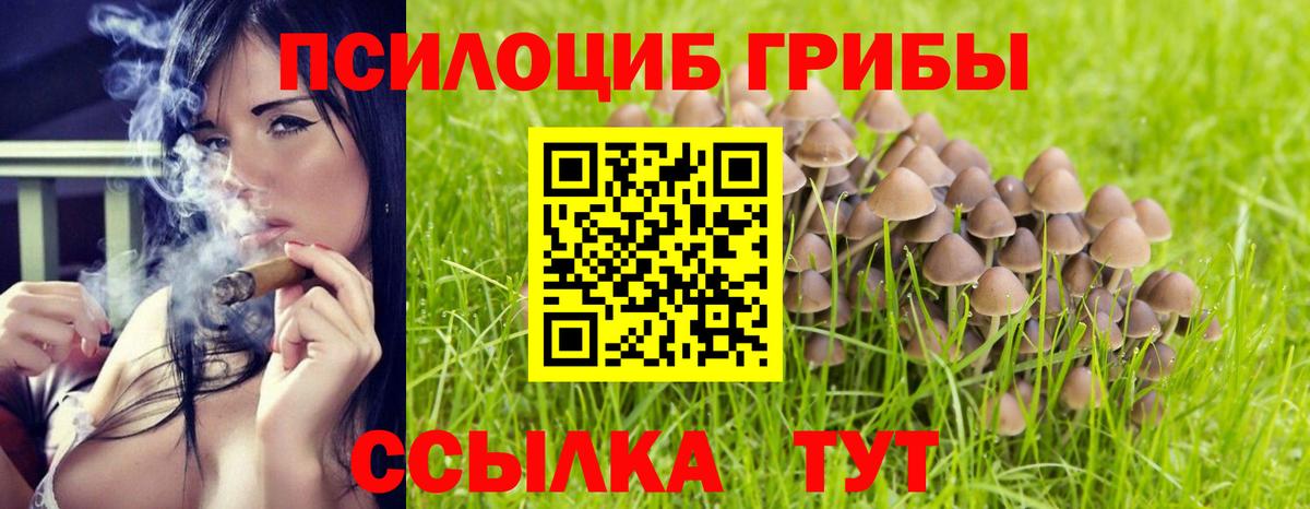 Галлюциногенные грибы Magic Shrooms Ефремов